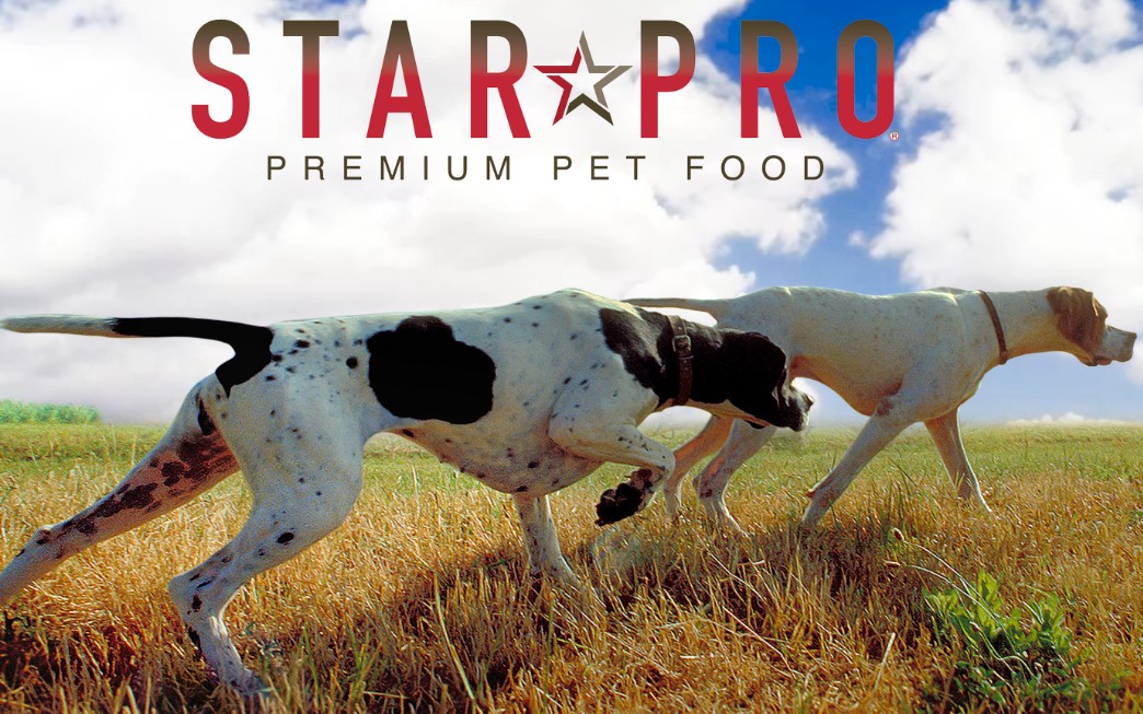 all your pet foods for dogs and cats